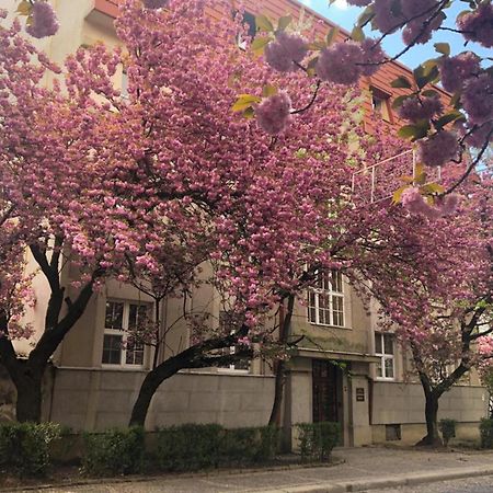 Апарт-Отель "Галаговъ" Užhorod Exteriér fotografie